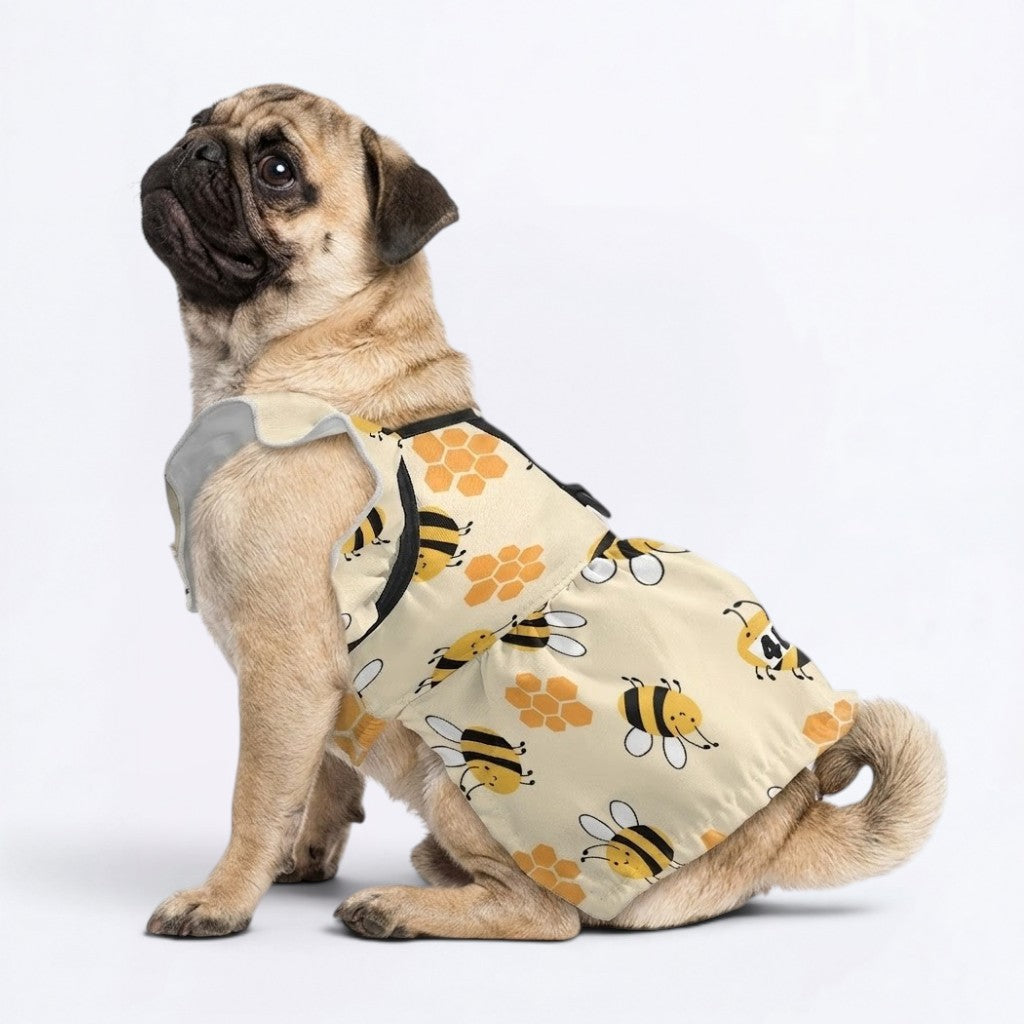 Nova - pug summer fashion