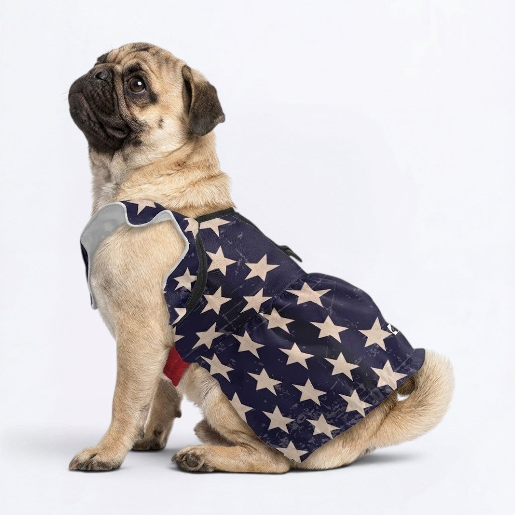 Skye - pug summer fashion