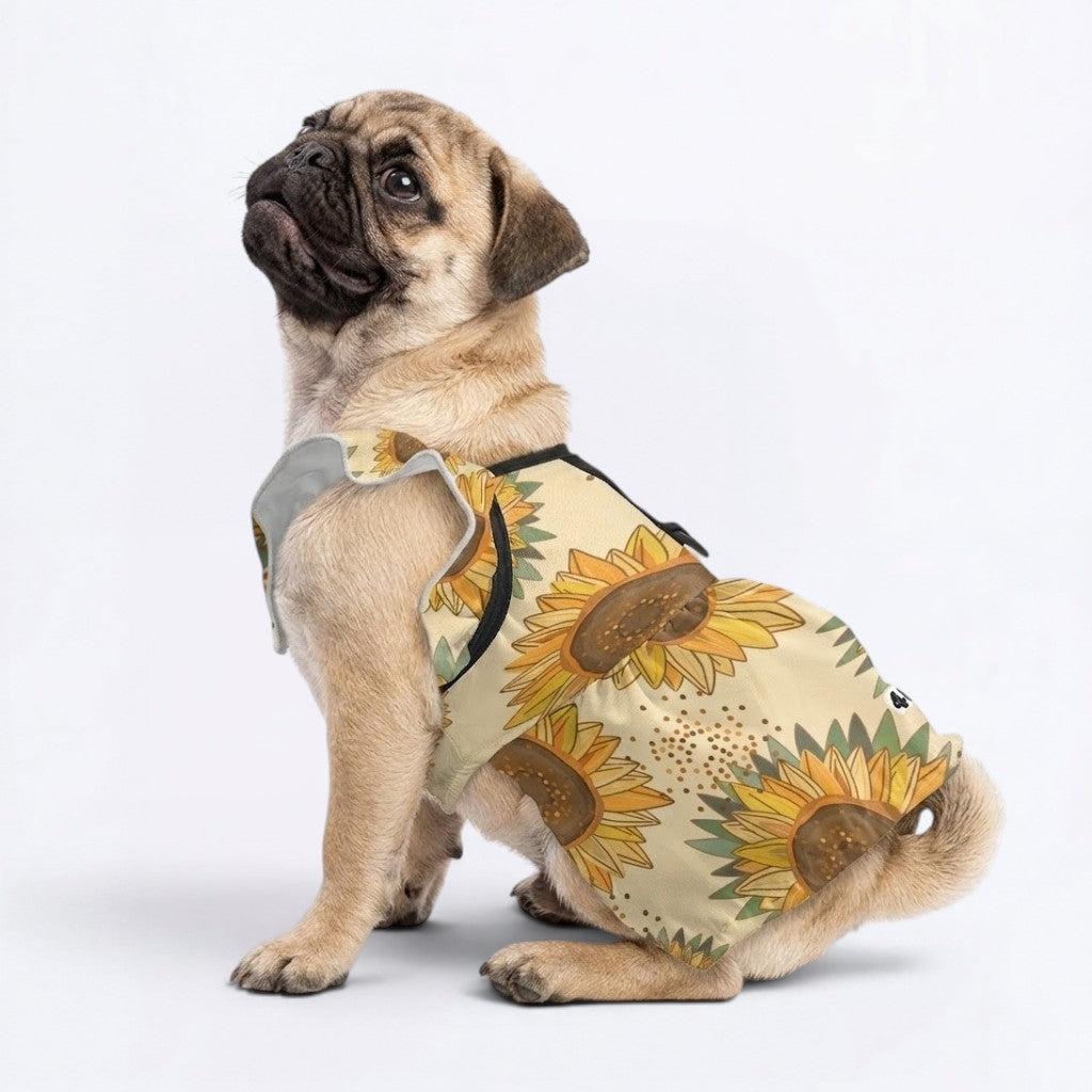 Cookie - pug summer fashion