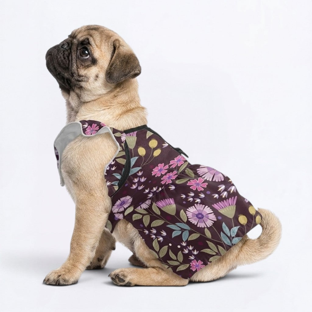 Mia - pug summer fashion