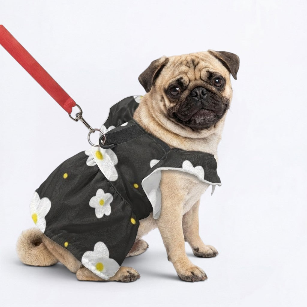 Millie - pug summer fashion