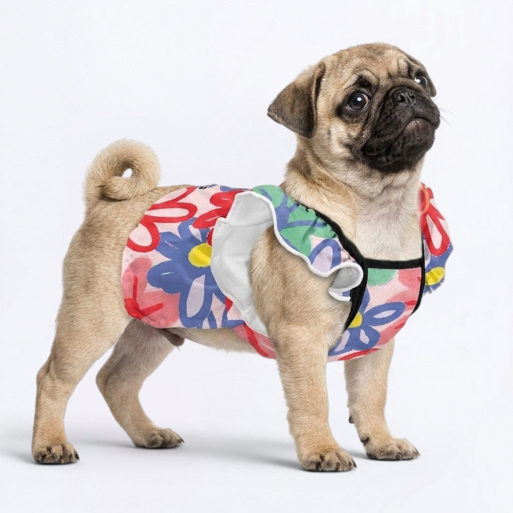 Bonnie  - pug summer fashion