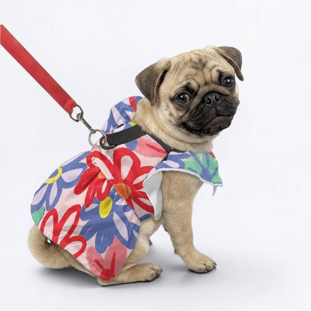 Bonnie  - pug summer fashion
