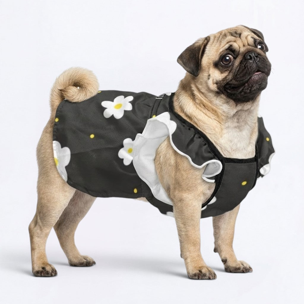 Millie - pug summer fashion