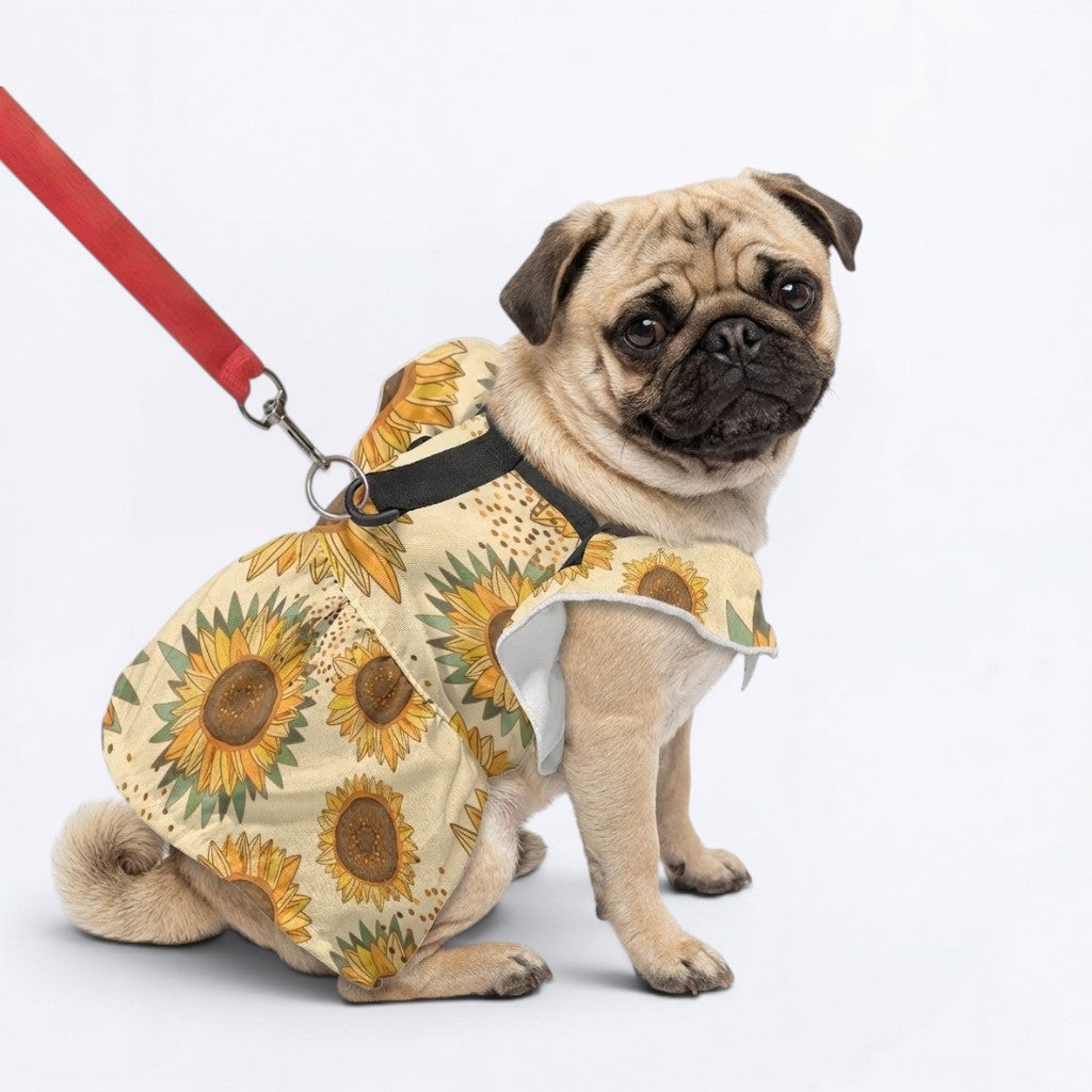 Cookie - pug summer fashion