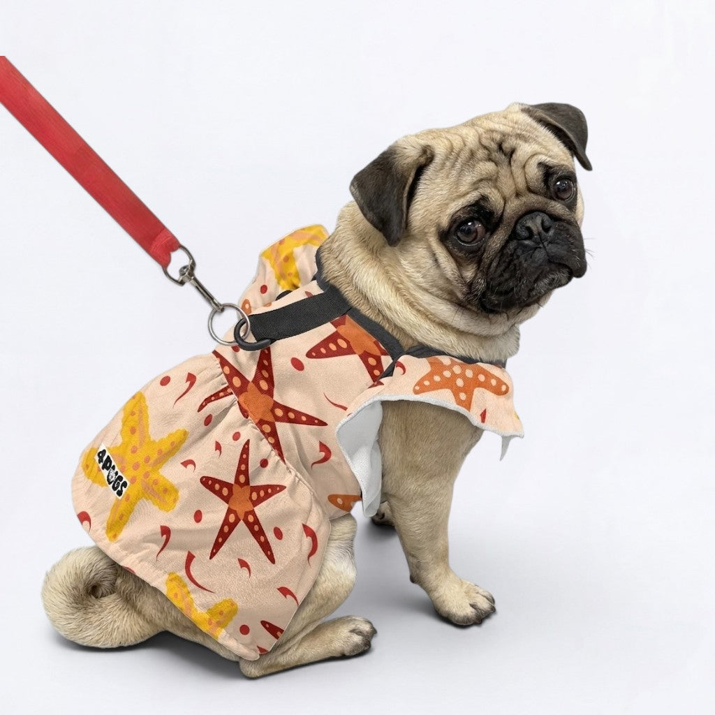 Daisy - pug summer fashion