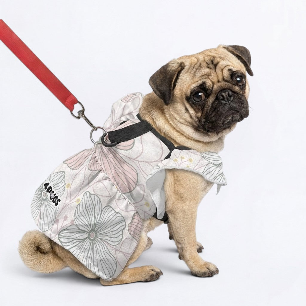 Lola - pug summer fashion