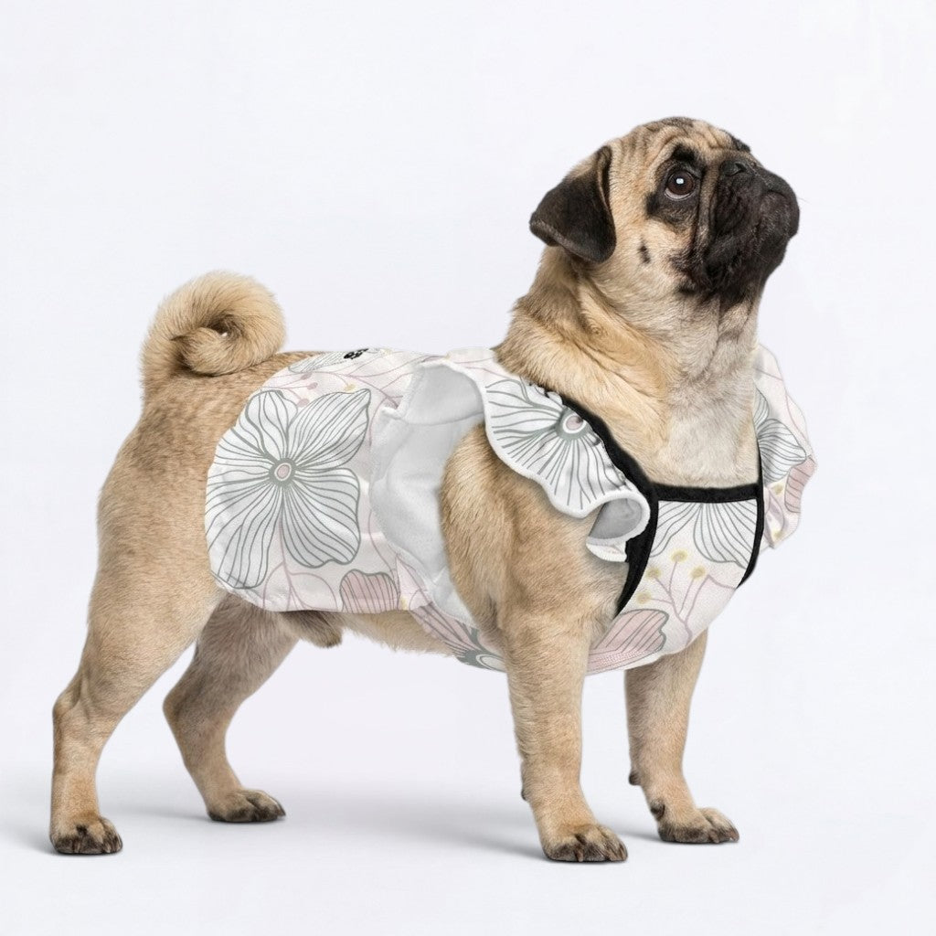Lola - pug summer fashion