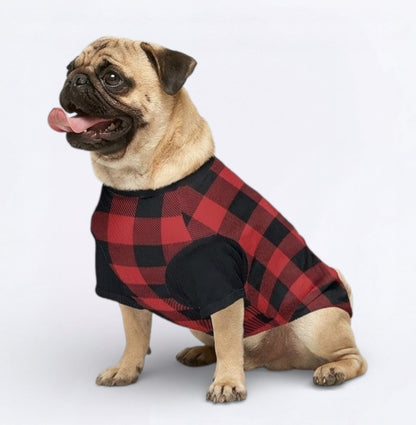 Buddy - Pug Wool Sweater