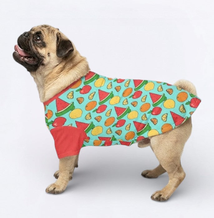 Charlie - Pug Wool Sweater