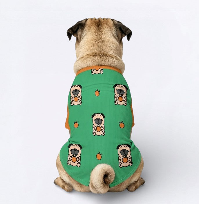 Zara - Pug Wool Sweater