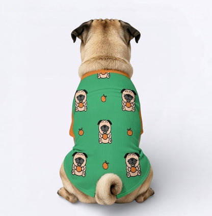 Zara - Pug Wool Sweater