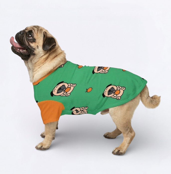 Zara - Pug Wool Sweater