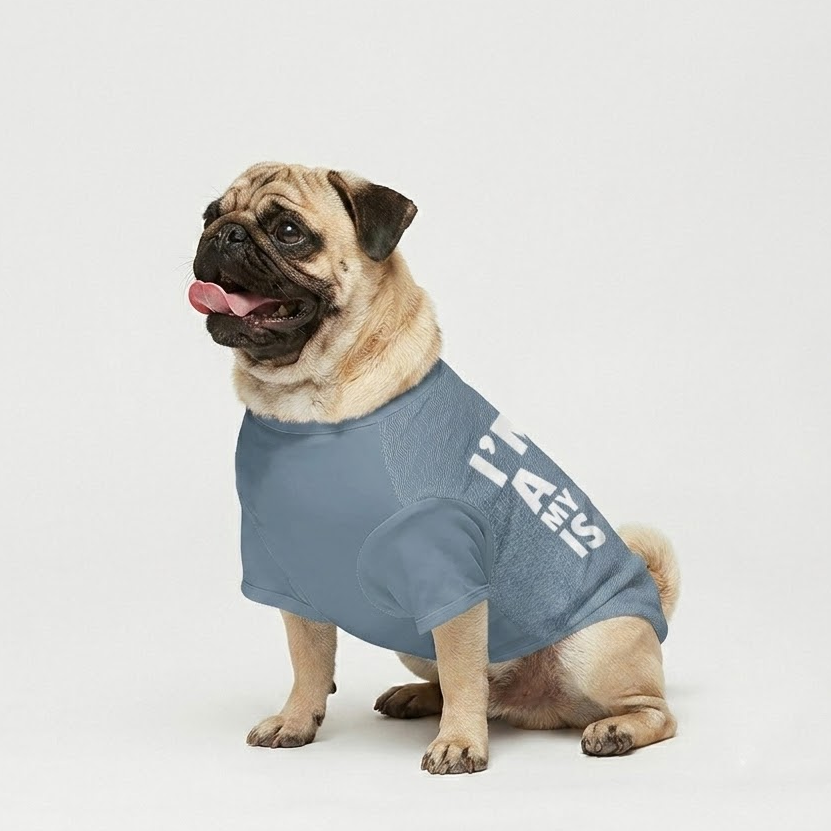 Buster - Pug T-Shirt