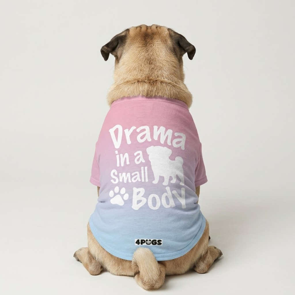 Teddy - Pug T-Shirt