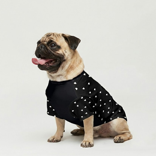 Zeus- Pug T-Shirt