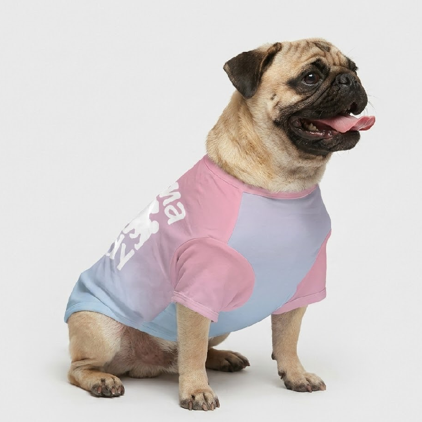 Teddy - Pug T-Shirt