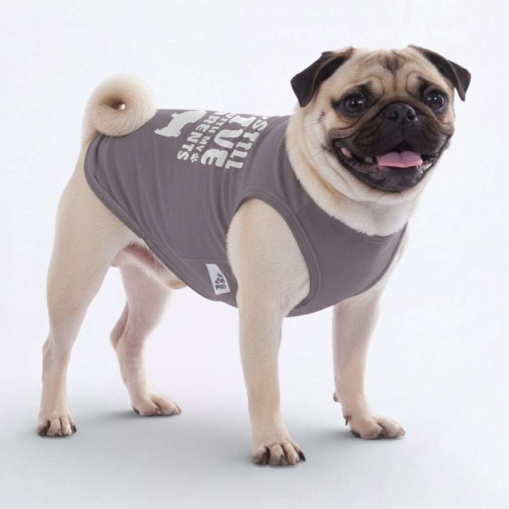 Knox – Pug Dog Shirt