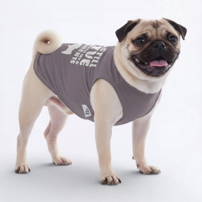 Knox – Pug Dog Shirt
