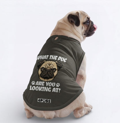 Indie  – Pug Dog Shirt