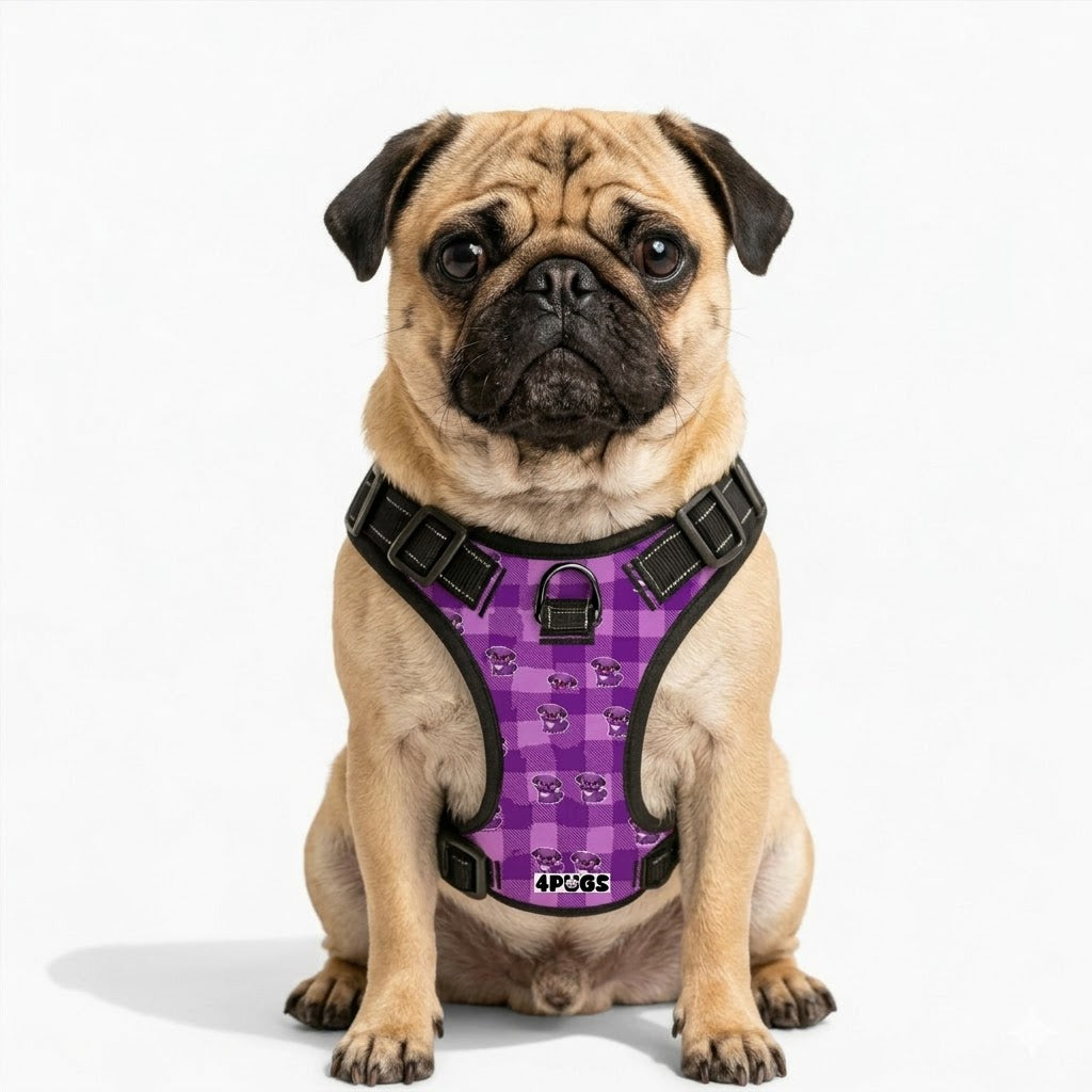 Stella - Pug Dog Harness
