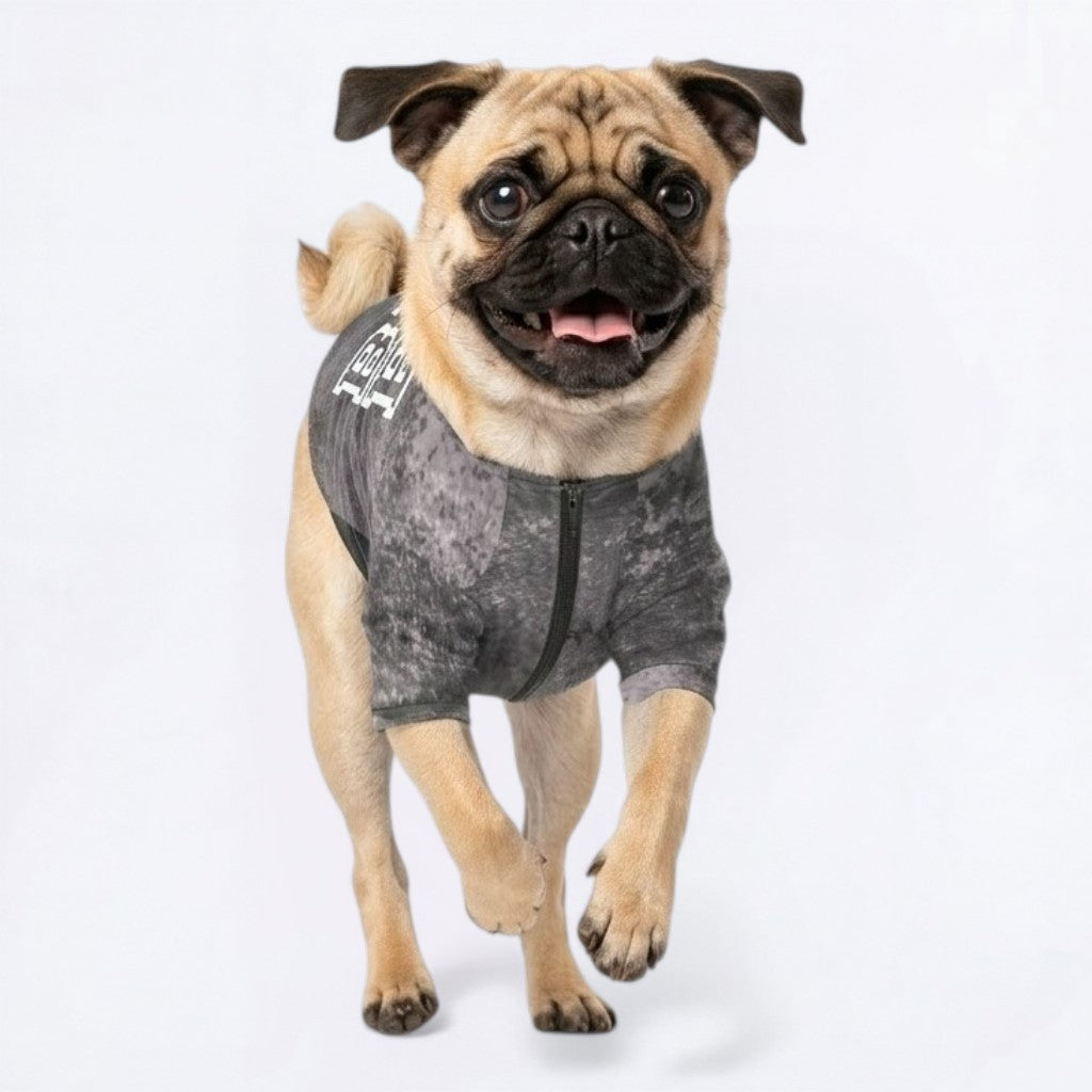 Jack - Pug Zip Up Sweater