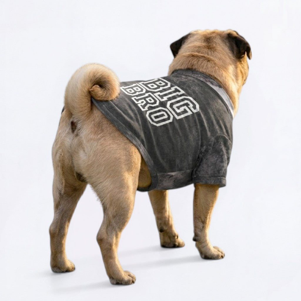 Jack - Pug Zip Up Sweater