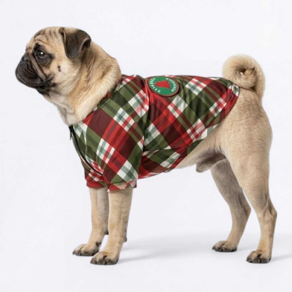 Zara - Pug Zip Up Sweater