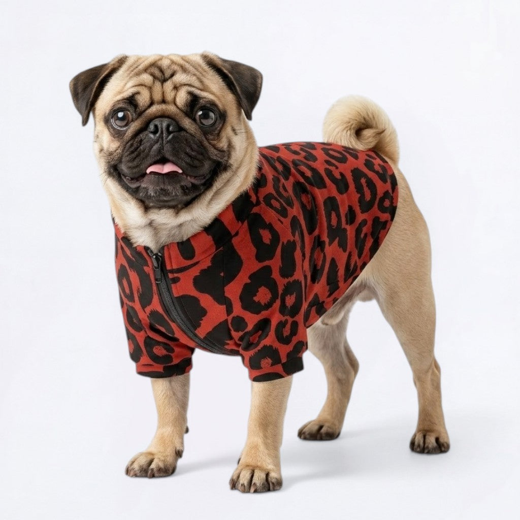 Juno   - Pug Zip Up Sweater