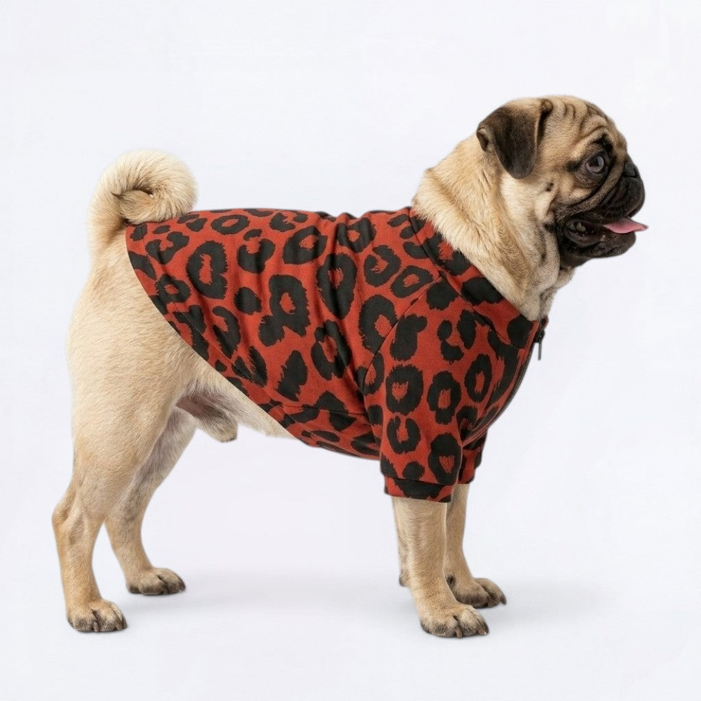 Juno   - Pug Zip Up Sweater