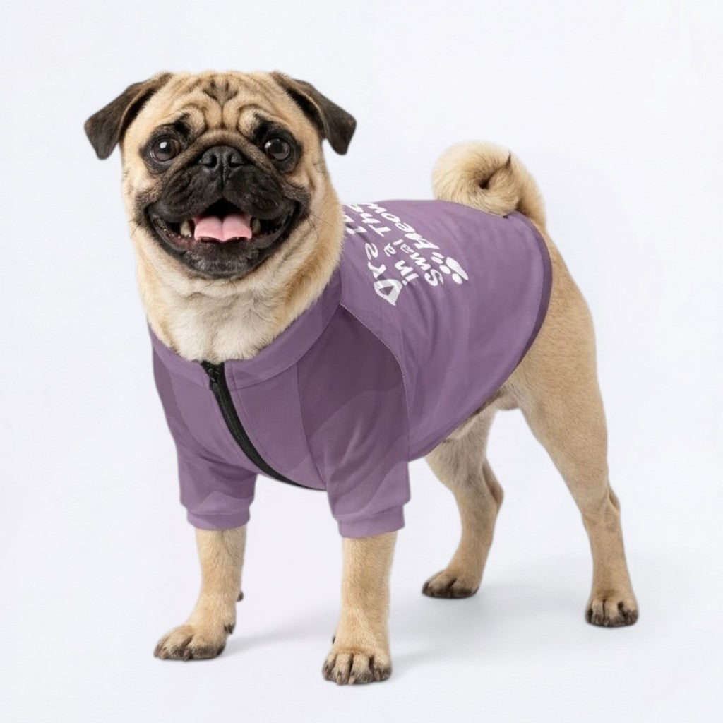 Sage- Pug Zip Up Sweater