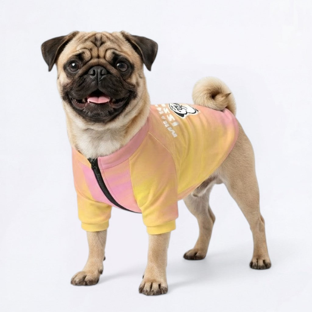 Bruno  - Pug Zip Up Sweater
