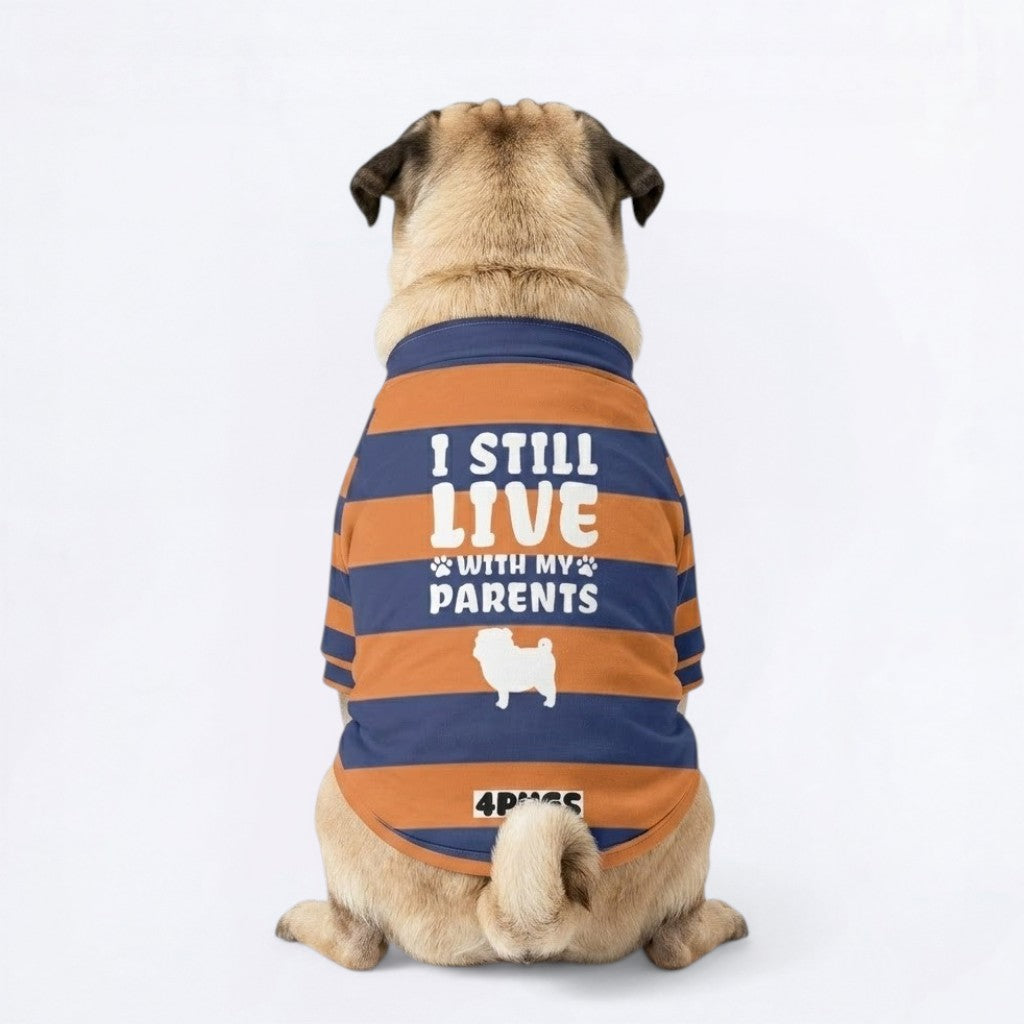 Zoey - Pug Zip Up Sweater