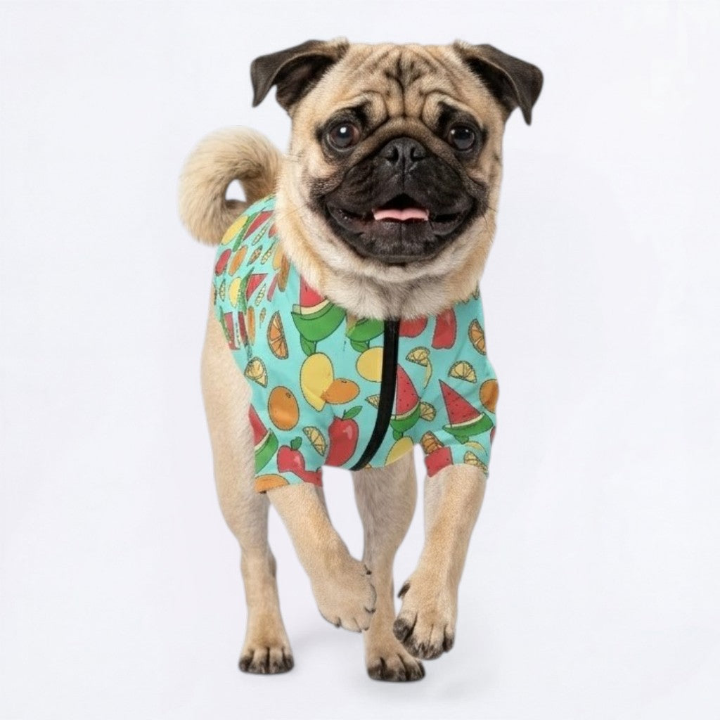 Apollo Pearl- Pug Zip Up Sweater