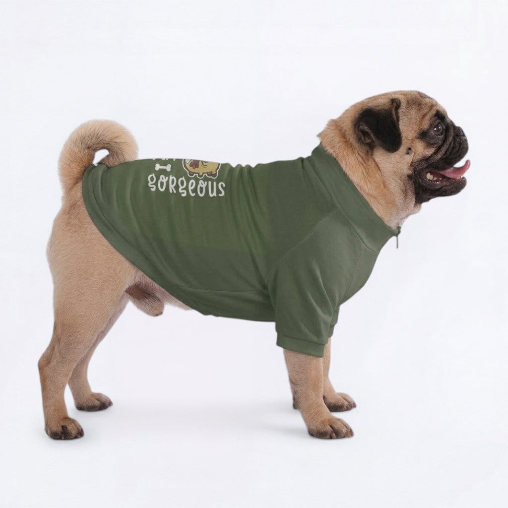 Max   - Pug Zip Up Sweater