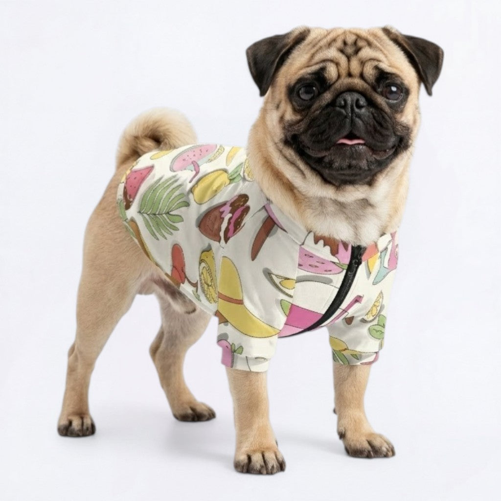 Atlas  - Pug Zip Up Sweater