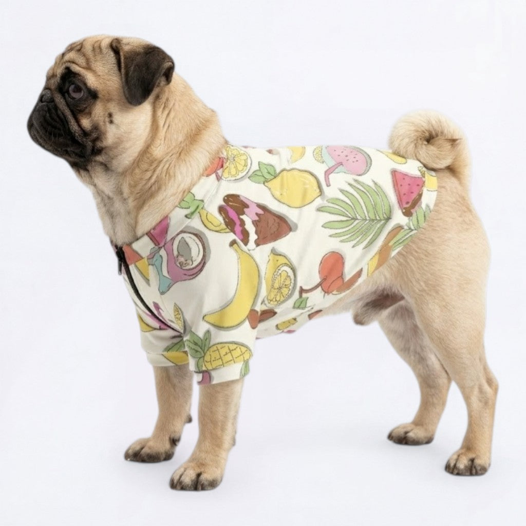 Atlas  - Pug Zip Up Sweater